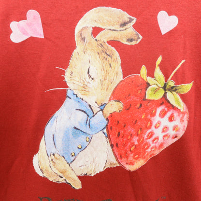 【極美品】ピンクハウス★ピーターラビットコラボ♪いちごプリント 長袖Tシャツ カットソー ロンT 赤系 z23421